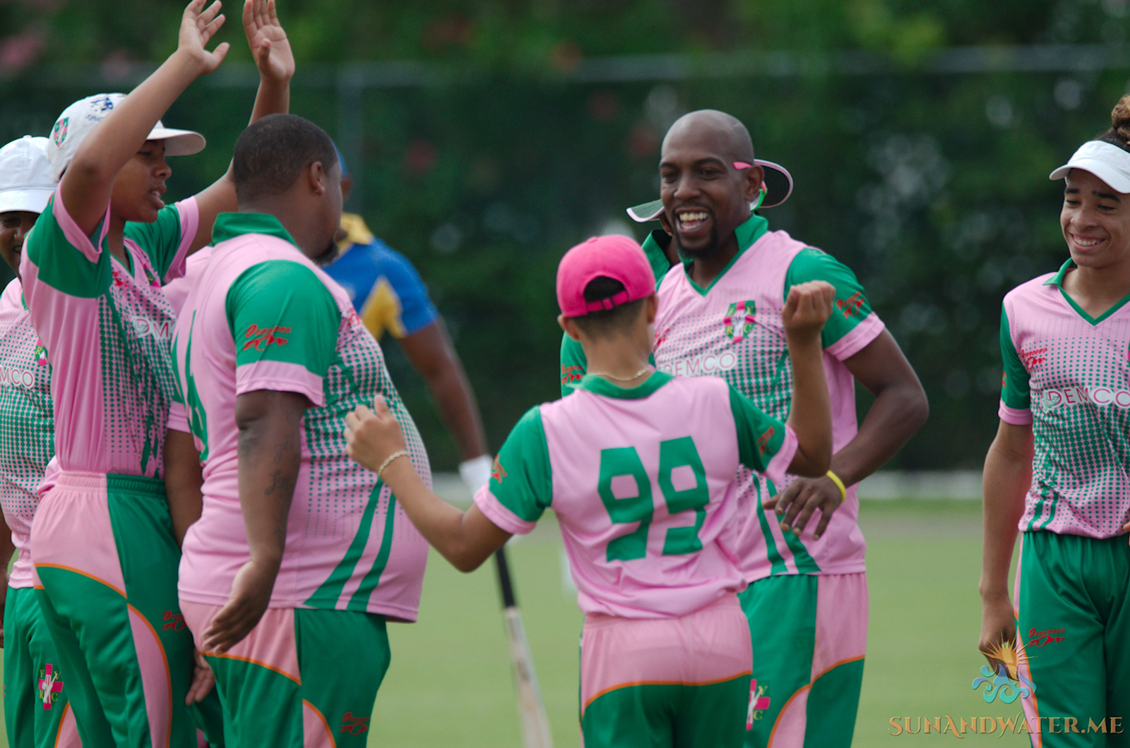 Somerset Bridge vs Flatts